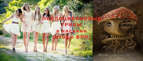 apvp Верхний Тагил