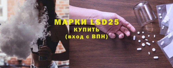 мдпв Бородино
